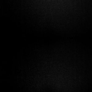 Meet your Posher, Vinnie